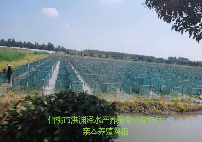 1 GA黄金甲(中国)体育有限公司